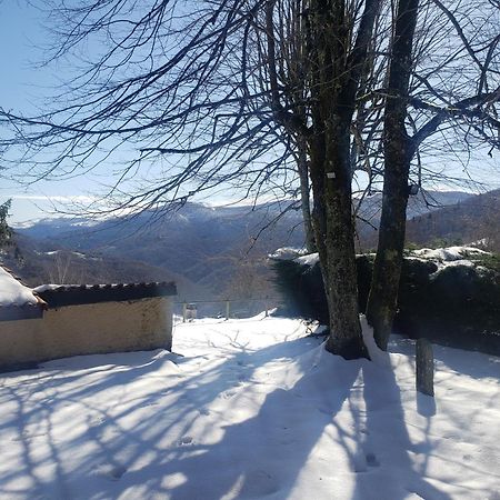 Auberge Les Myrtilles Le Bosc  Bagian luar foto